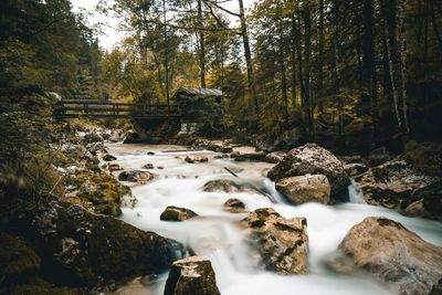 Stream flowing through rocks in forest