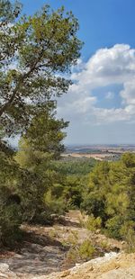 Scenic view of land against sky