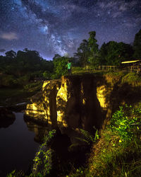 Scenic view of trees at night