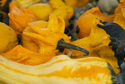 Close-up of yellow for sale in market