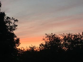 Low angle view of silhouette trees against sky at sunset