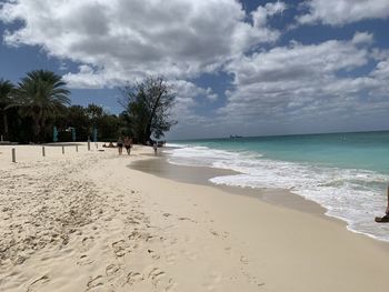 Scenic view of beach against sky