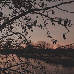 Scenic view of lake at sunset