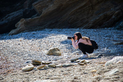 High angle view of bird on rock