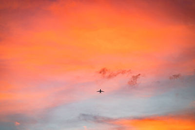 Low angle view of bird flying against orange sky