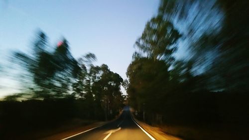 Road along trees