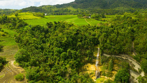 Beautiful waterfall and rice terraces. aerial view of can-umantad falls.