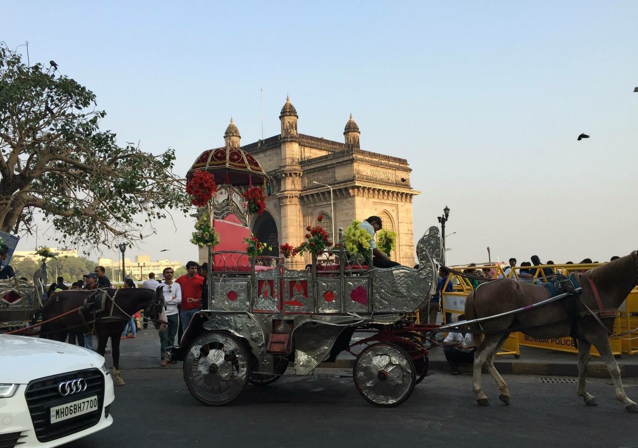 transportation, mode of transport, land vehicle, bicycle, clear sky, riding, stationary, parked, car, street, men, parking, road, motorcycle, travel, lifestyles, tree, architecture, building exterior