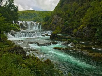 Scenic view of waterfall in forest