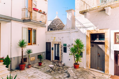 Potted plants on table outside building