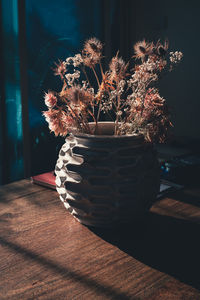 Close-up of potted plant on table