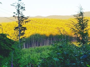 Scenic view of land against clear sky