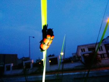 Illuminated street light against sky at night