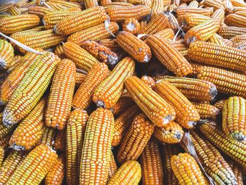 Full frame shot of roasted for sale in market