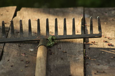 Close-up of wood