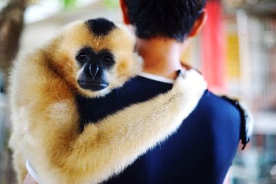 Close-up of stuffed toy in zoo