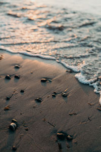 High angle view of footprints on sand at beach