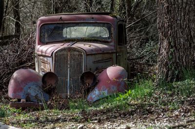 Abandoned car in forest