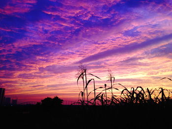 Silhouette of landscape at sunset