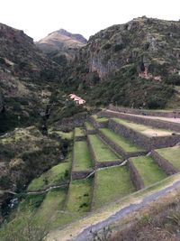 High angle view of agricultural field