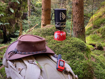Red hat on tree trunk in forest