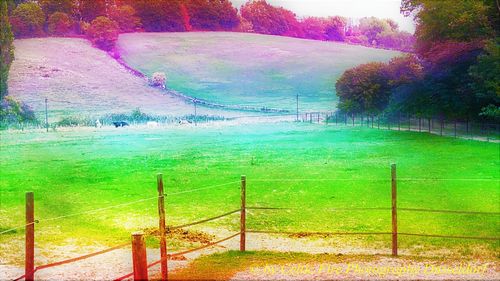 Scenic view of rainbow over field