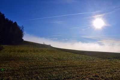 Scenic view of field against sky