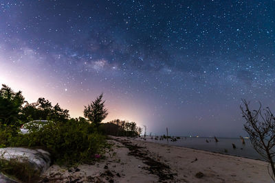 Scenic view of trees against sky at night