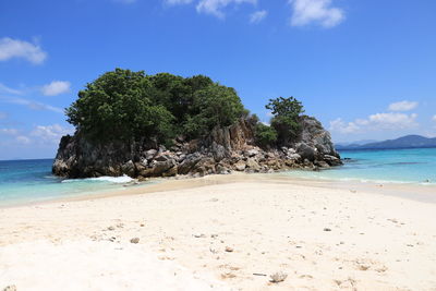 Trees at beach against blue sky