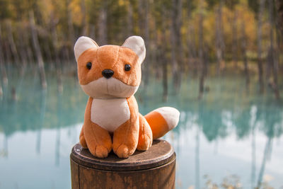 Close-up of stuffed toy