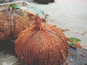 Close-up of coconut shells on cutting board