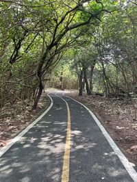 Road amidst trees