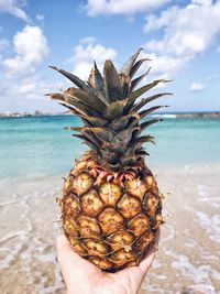 Close-up of hand holding pineapple at beach against sky