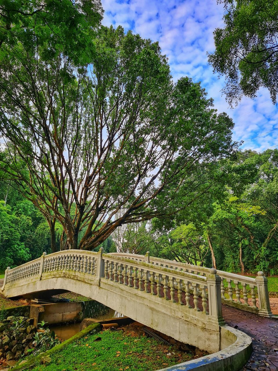 BRIDGE AGAINST SKY