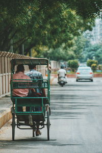 Rear view of people on road against trees