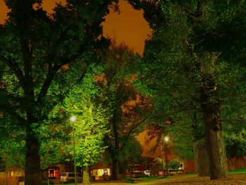 View of trees against sky