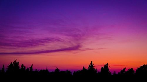 Silhouette trees against sky during sunset