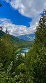 Scenic view of lake by trees against sky