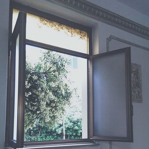 window