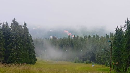 Panoramic view of trees on field against sky