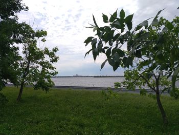 Scenic view of sea against sky