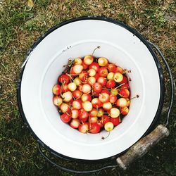 High angle view of tomatoes in bowl
