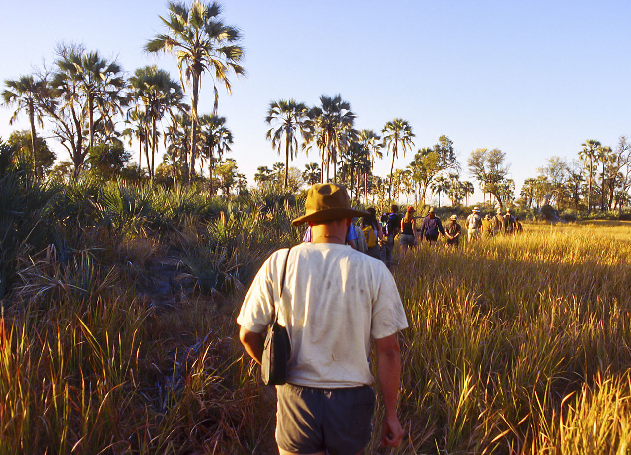 plant, sky, tree, growth, rear view, real people, men, land, one person, three quarter length, nature, field, hat, clothing, standing, day, rural scene, leisure activity, sunlight, landscape, farmer, outdoors