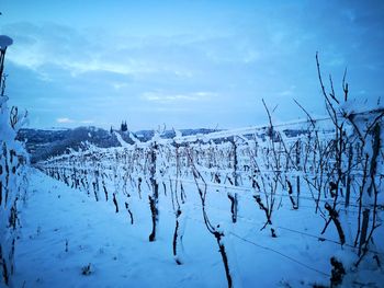 Scenic view of snow covered land against sky