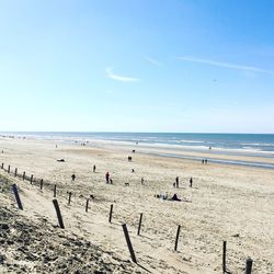 Distance shot of people on calm beach