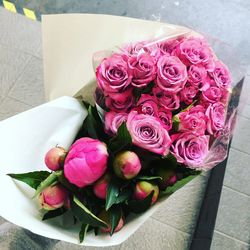 Close-up of pink rose