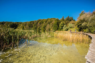 Scenic view of lake against clear blue sky