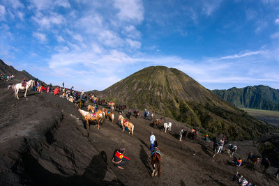 People and horses on mountain against sky