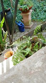 High angle view of potted plants