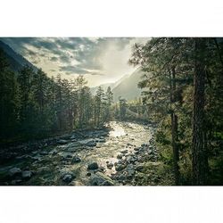 Scenic view of forest against cloudy sky